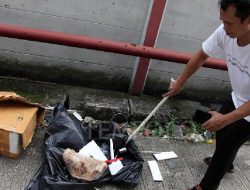 Polisi Usut Dugaan Teror Paket Kepala Babi ke Kreator Konten di Bogor