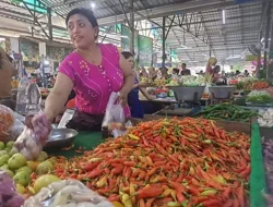 Harga Cabai di Bengkulu Naik, dari Rp 25 Ribu Jadi Rp 75 Ribu Per Kg