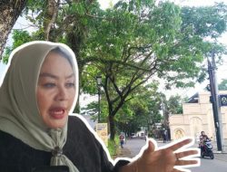 Pemkot Tasikmalaya Segera Pangkas Pohon Tua Rawan Tumbang