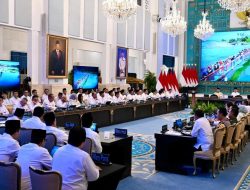 Inefisiensi Daerah dan Paradoks Pusat