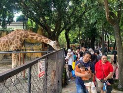 Wisata Edukatif Seharga Segelas Kopi Kekinian di Surabaya Jadi Pilihan Saat Libur Lebaran