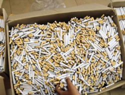 Rokok Ilegal Nyaris Bikin Rugi Negara Rp 24,72 Miliar